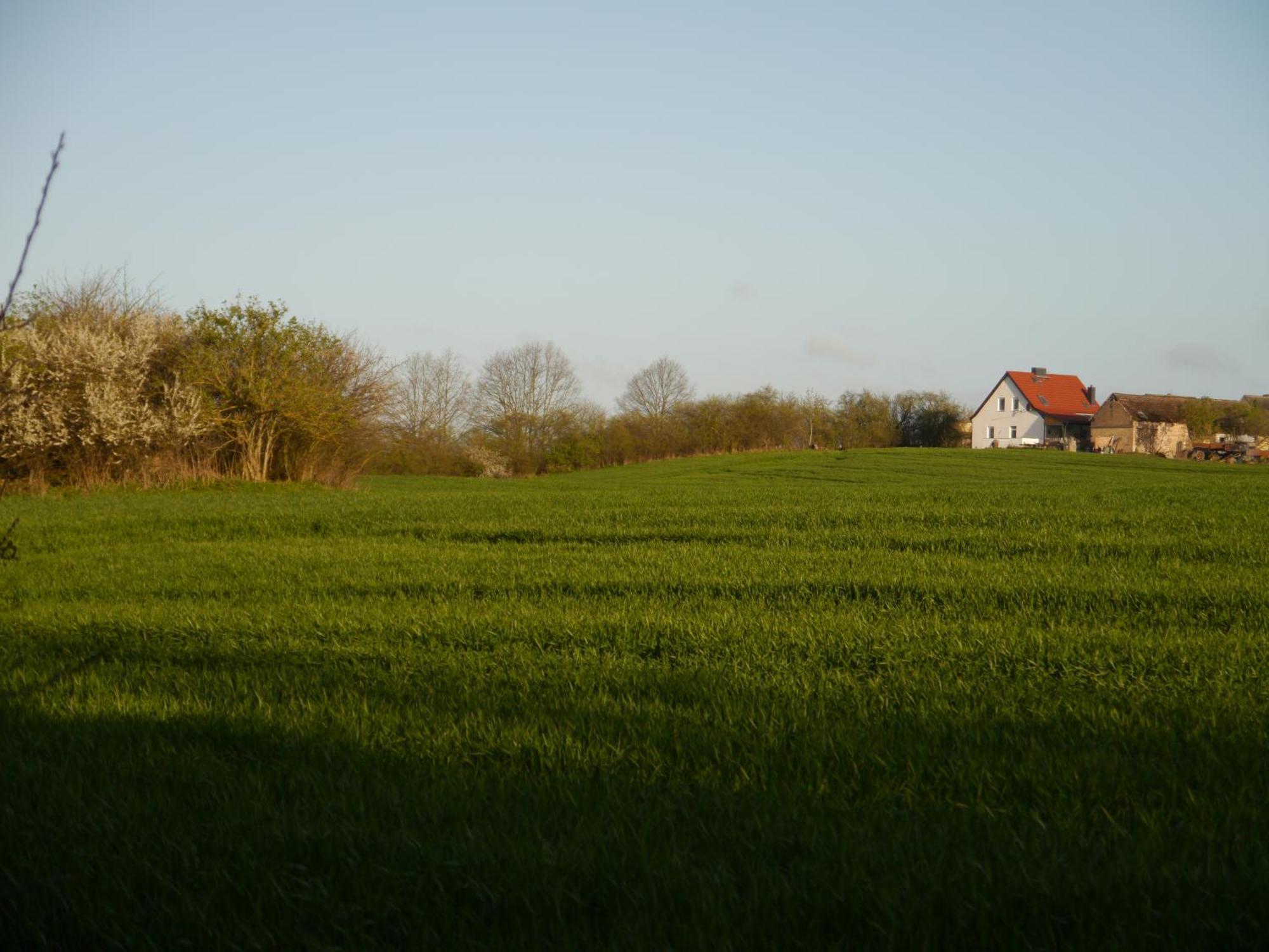 Ferienhaus-Uckermarkblick Rosenow  Zewnętrze zdjęcie